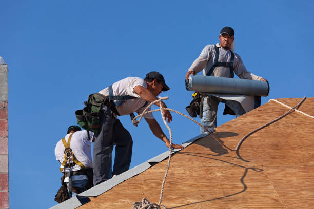 Best Storm Damage Roof Repair  in Harwood Heights, IL